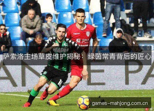 萨索洛主场草皮维护揭秘：绿茵常青背后的匠心